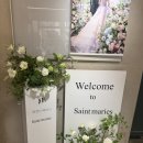 식만 | 서울 밝은홀 웨딩 세인트 메리스 강남 27년 1.2월 견적 공유 및 후기