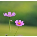 (주)우리사랑 이미지