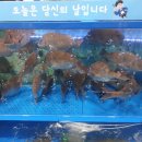 활어도매시장 이미지