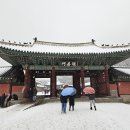 사무실용 건축물(서초동 1461-14) | 서울 눈내린 날 풍경, 창덕궁 및 낙선재 설경