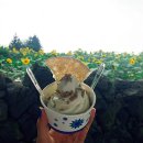 환이네농장 이미지