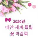 달이머무는바다 이미지