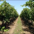 대박 제2농장 이미지