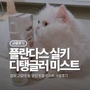 빗질해줄개 | 플란다스 실키 디탱글러 후기｜장모 고양이 털 엉킴 빗질 미스트