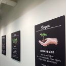맘보바리스타제과제빵학원 안산점