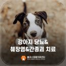 블리스 동물의료센터 이미지