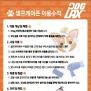 도그렉스 이미지