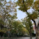 등촌고교 | J.도자기스토리 | 강서구 원데이클래스 추천✨ 도자기로 엔틱 접시를 만들어보자