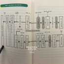 흐름으로보는세계사 이미지