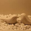 닥터포바디 퍼스널 트레이닝 이미지