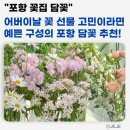 담꽃 이미지