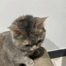 이정부엌 이미지