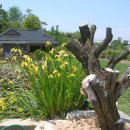 낭산다례원 이미지