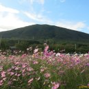 평촌명품마을 이미지