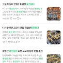 고모리풍천장어 이미지