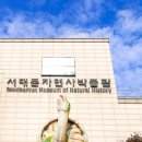 서대문자연사박물관(3월~10월) 이미지