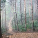 오투(O2) 이미지