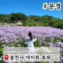 봉천사 이미지