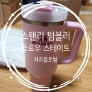 블로썸 | [STANLEY] 스탠리 퀜처 H2.0 플로우 스테이트 텀블러 체리블로썸 1.18L 구매 후기