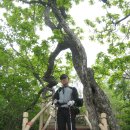 갑을여관 | 2차대간(19) : 육십령~남덕유산-향적봉