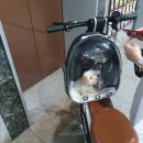 뉴야네일
