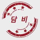 (담비님 입사? 환영곡 )손담비-미쳤어 ㅎㅎ 이미지