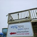 백합마트 | 태안가볼만한곳 카라반 숙박부터 갯벌체험까지 백합펜션 후기