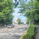 여수중앙여자중학교 이미지