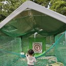 전농장 | 경기도 용인 밤 줍기 체험 서전농원 방문 후기