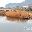 계화보건진료소 이미지