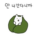 평화오토 이미지