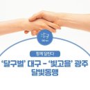 빛고을99 이미지