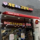 개밥파는 고양이 야당점 네이버블로그