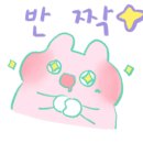 카페갈산