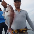투투브라더스 Daum카페