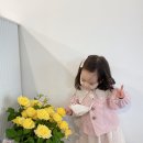 케이크하리 이미지
