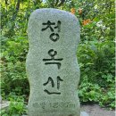 [블랙야크100대2024년 6월 22일 토요일 ] 강원도 평창 청옥산 육백마지기 샤스타 데이지 천상의 화원 산행안내 이미지