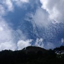 옹암농장 이미지