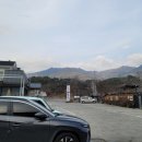 올래퍼피 | 팔공산 애견카페 퍼피80 다녀왔습니다~~!