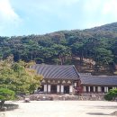 지장 Daum카페