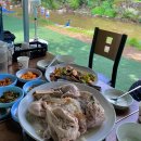 행복한 멍이세상 이미지