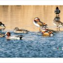 청도천2 이미지