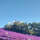 거창 하늘농원