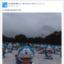 폰카로 사진 잘 찍는 방법 이미지