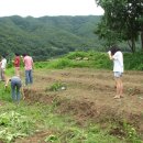 낙생고등학교 이미지