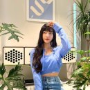 조이식물 이미지
