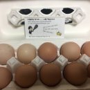 솔아농장 이미지