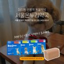선릉동물약국 이미지
