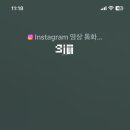 냥빨 이미지