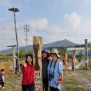 녹색유통연합 이미지